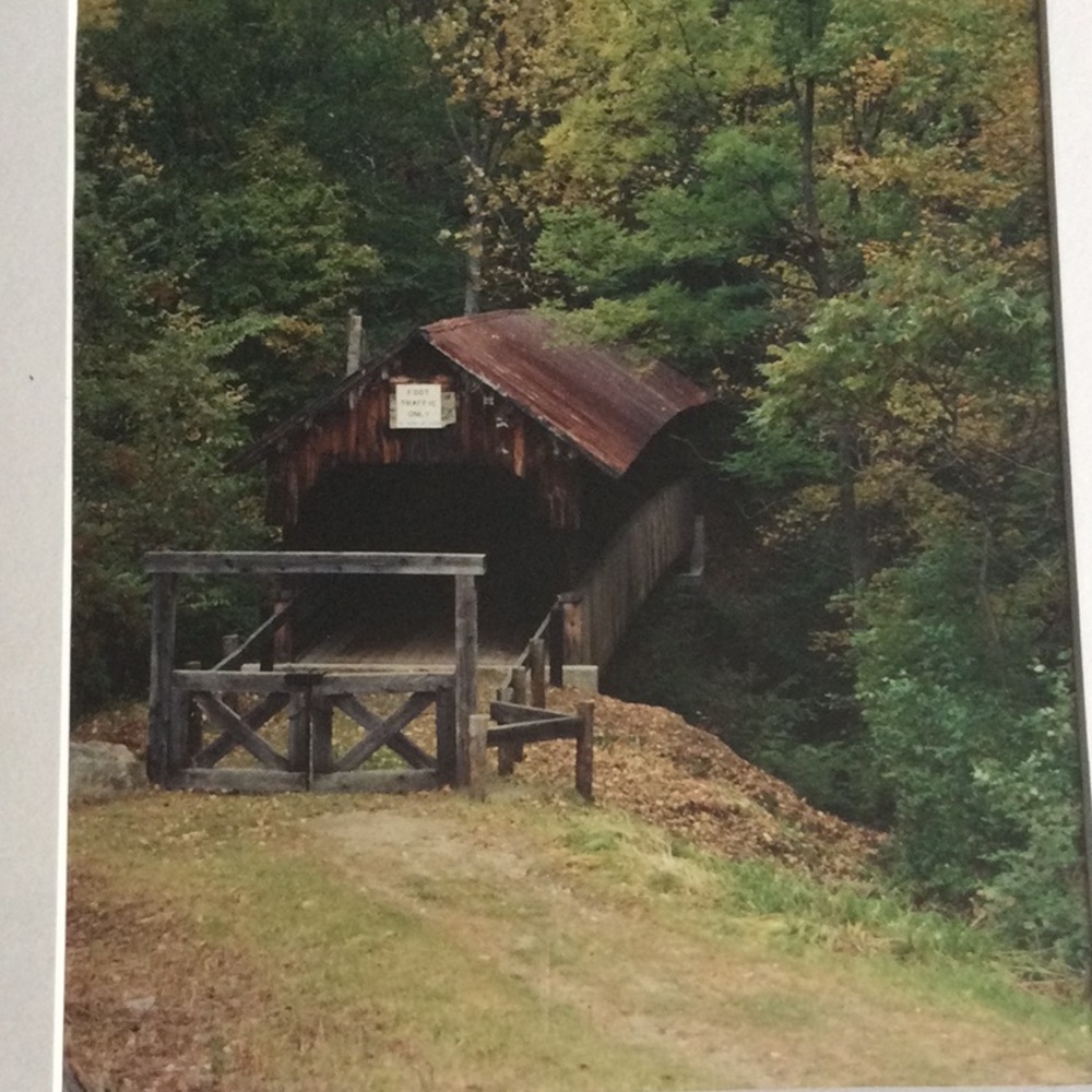 Photograph - Picture 2 of 3